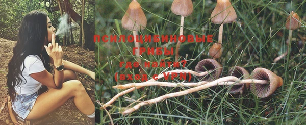 марихуана Богданович