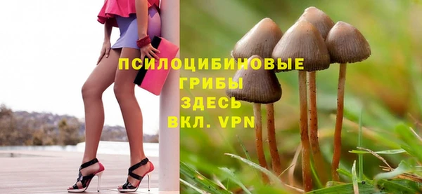 меф Богородицк