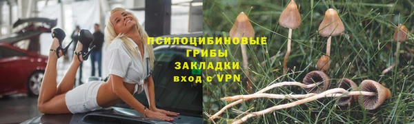 меф Богородицк