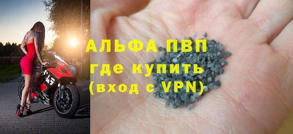 сатива Беломорск
