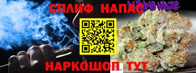 дмт Беслан