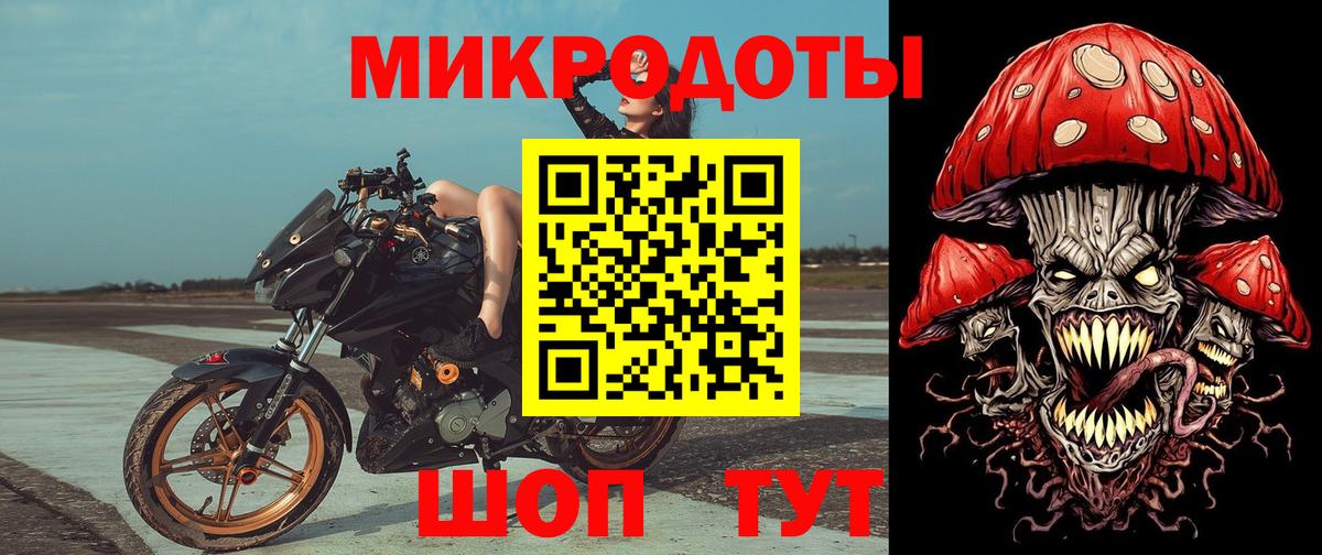 Псилоцибиновые грибы Psilocybine cubensis Волжск