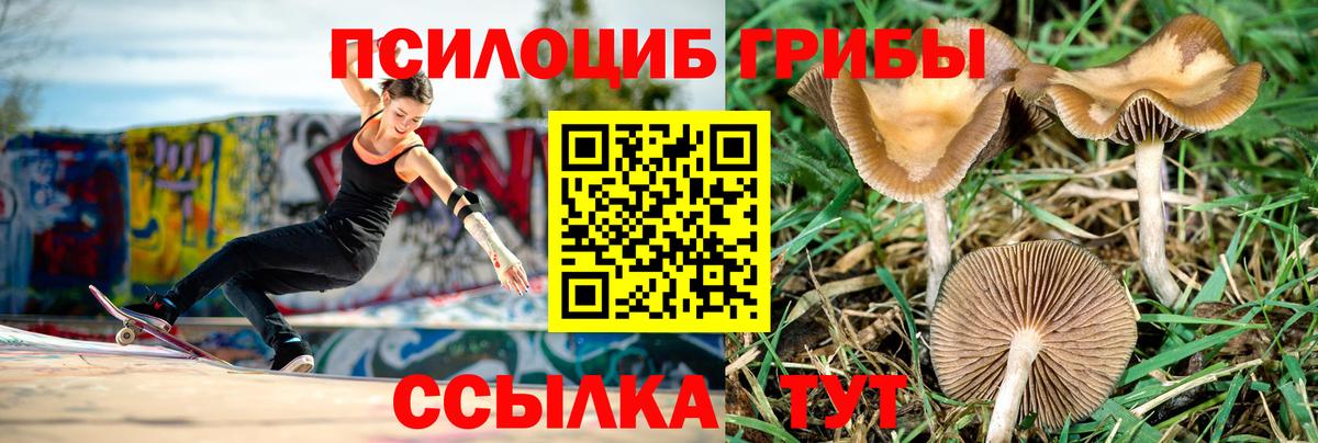 Волжск  Галлюциногенные грибы Magic Shrooms  Псилоцибиновые грибы Psilocybe  Вход с VPN 