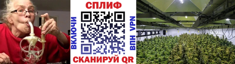 где купить наркоту  Волжск  Бошки Шишки Bruce Banner 